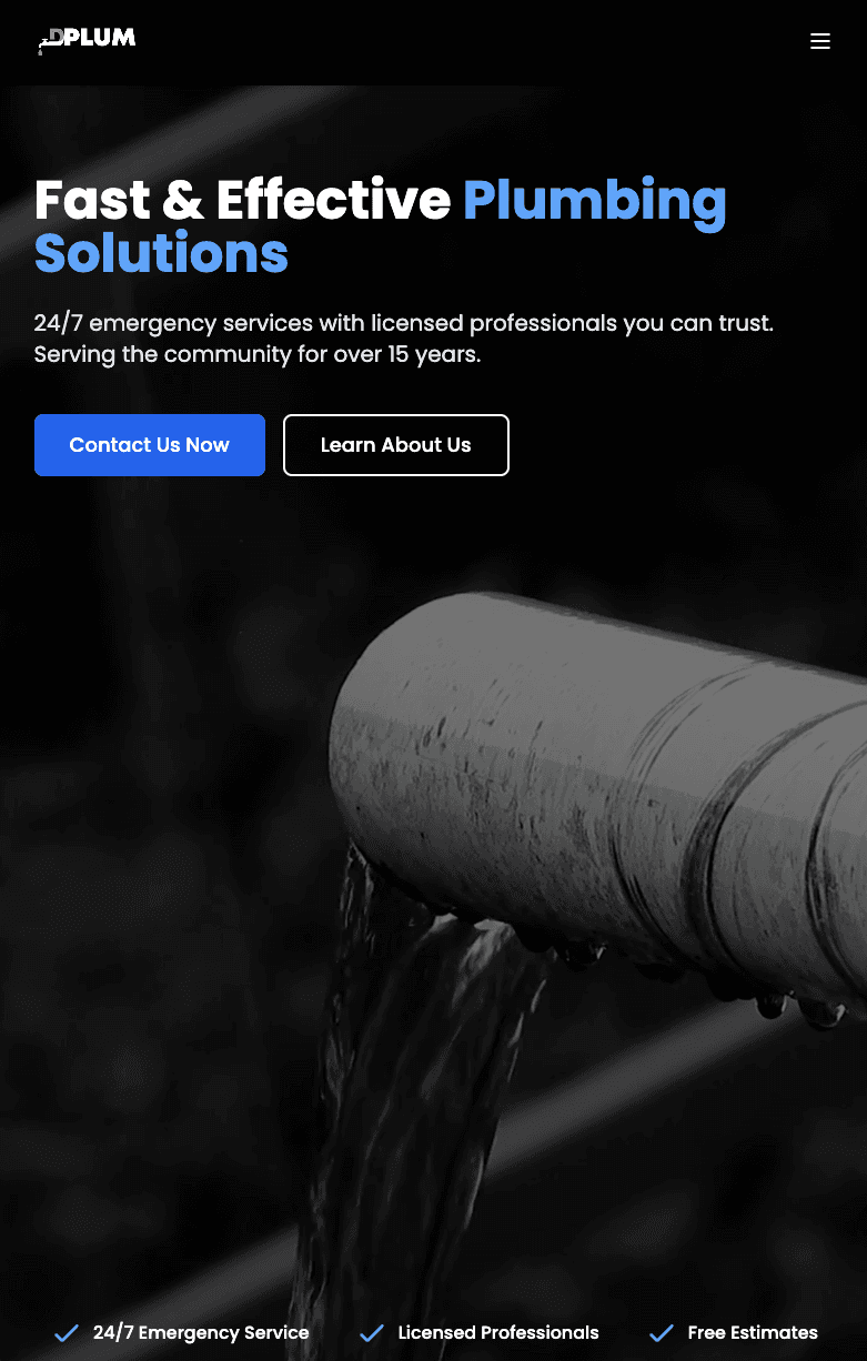 Professional Plumbing Services
